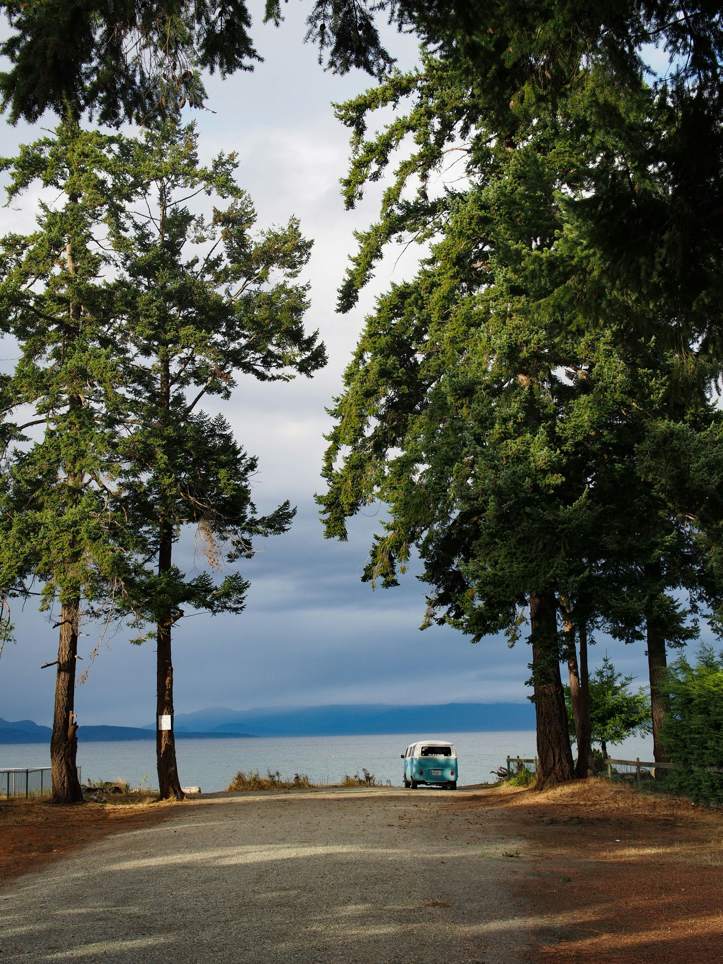 white and blue van near body of water